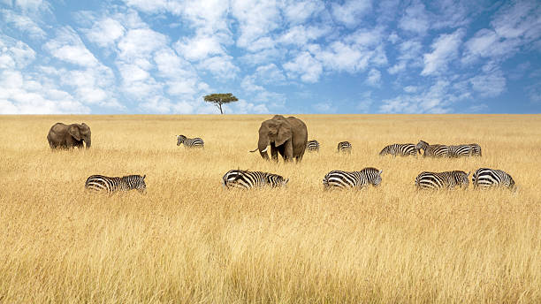  Africa Travel Content Ideas 2026–2027 